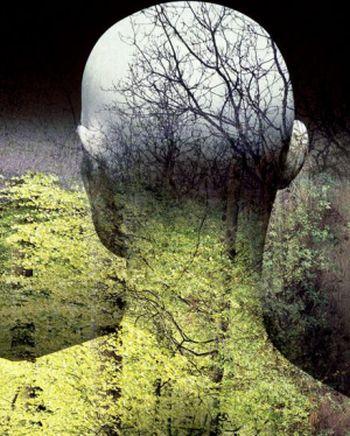 Ecologia maladiilor. Distrugerea naturii dezlănţuie cele mai grave boli infecţioase 157330