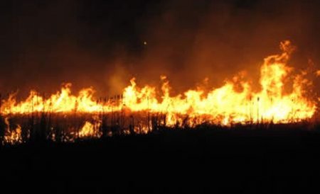Incendii puternice de vegetaţie în Sardinia. Sute de turişti şi localnici au fost evacuaţi 