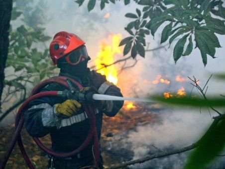 Incendiu de vegetaţie uscată şi pădure, în apropierea Parcului Naţional Cheile Bicazului - Hăşmaş