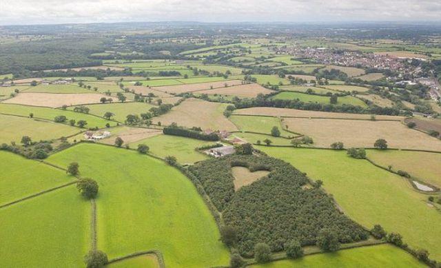 Un tribut cu adevărat romantic dedicat soţiei decedate 157613