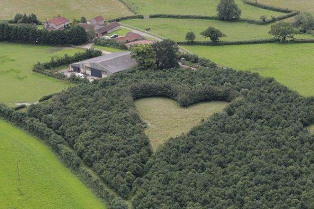 Un tribut cu adevărat romantic dedicat soţiei decedate 157614