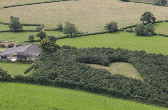 Un tribut cu adevărat romantic dedicat soţiei decedate 157615