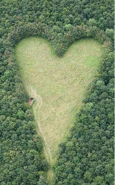 Un tribut cu adevărat romantic dedicat soţiei decedate 157616