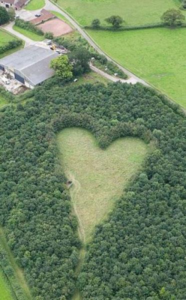 Un tribut cu adevărat romantic dedicat soţiei decedate 157617