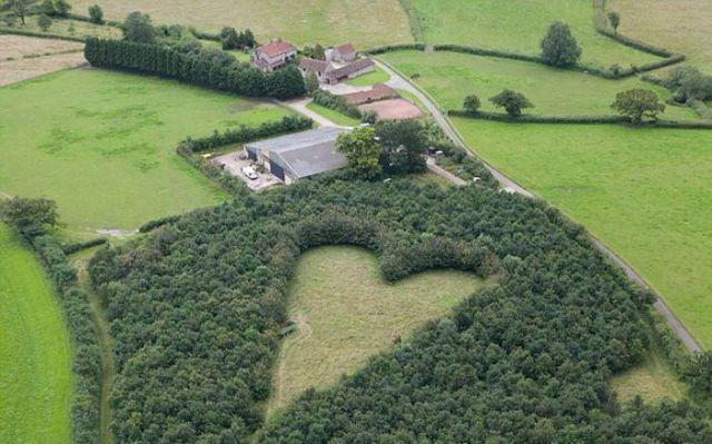 Un tribut cu adevărat romantic dedicat soţiei decedate 157618