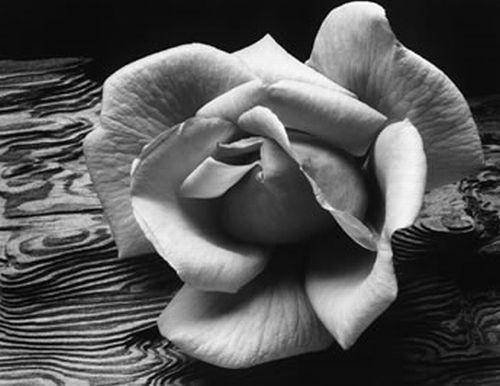 Creaţiile lui au salvat planeta. Omul care a transformat fotografia în artă 158371