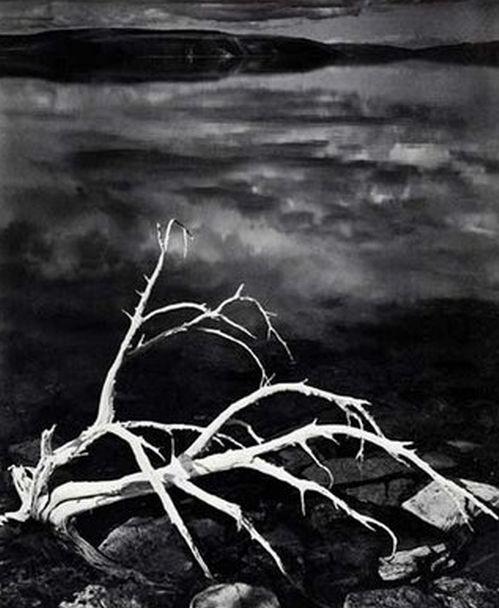 Creaţiile lui au salvat planeta. Omul care a transformat fotografia în artă 158374