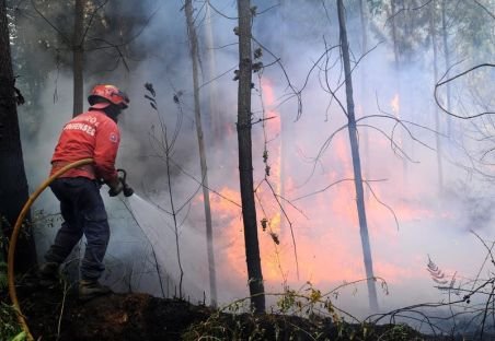 Peste 12 hectare de vegetaţie, cuprinse de incendiu între Răşinari şi Păltiniş, în judeţul Sibiu