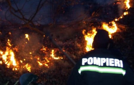 Incendiu de vegetaţie în Munţii Şureanu: Peste 15 hectare de pădure, mistuite în flăcări