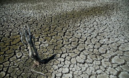 Guvernul reduce tariful la apa folosită în irigaţii şi despăgubeşte fermieri afectaţi de secetă