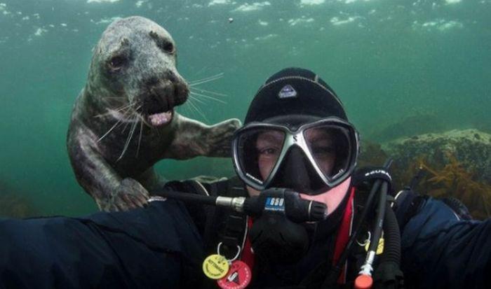 Cea mai simpatică fotografie de pe internet. Întâlnirea neaşteptată din adâncul mării  159048