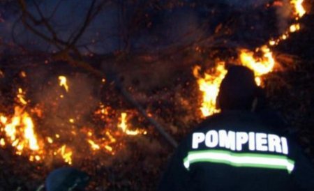 Incendiu de vegetaţie în Munţii Făgăraş. Peste 500 de hectare de vegetaţie, cuprinse de flăcări