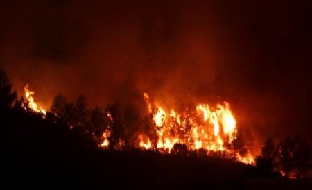 Incendii de pădure în opt judeţe. Unde sunt zonele cele mai afectate