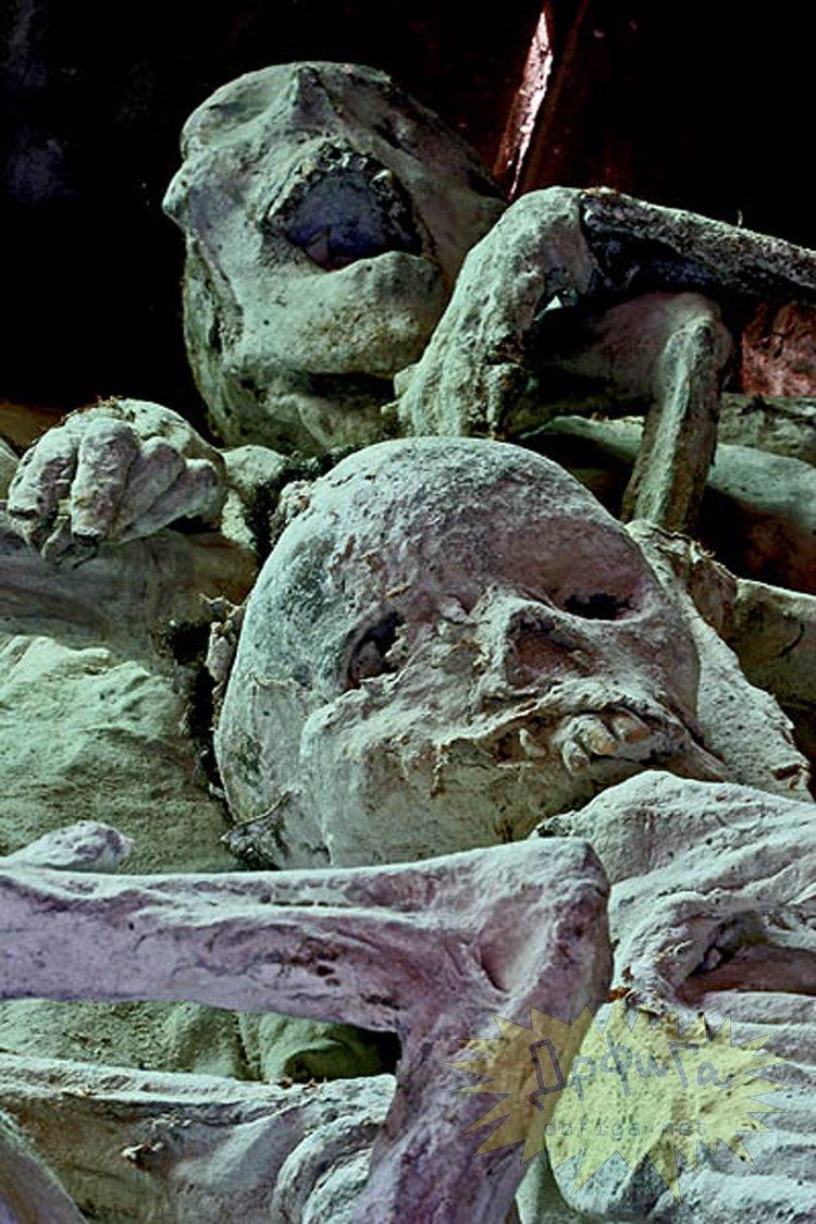 Marile puteri ale lumii s-au spălat pe mâini de sângele lor. Masacrul care a schimbat cursul istoriei 159560