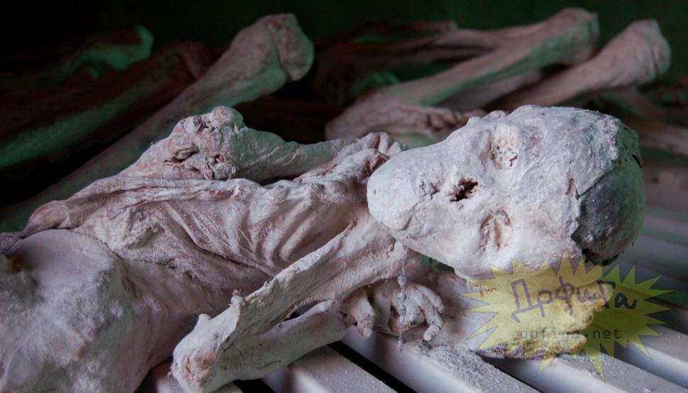 Marile puteri ale lumii s-au spălat pe mâini de sângele lor. Masacrul care a schimbat cursul istoriei 159566