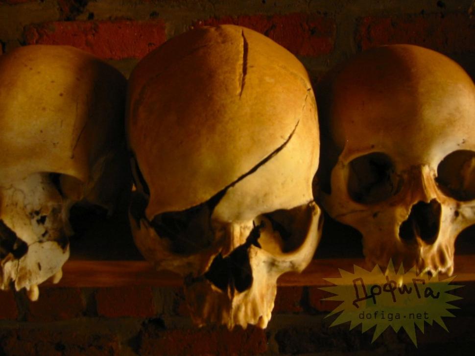 Marile puteri ale lumii s-au spălat pe mâini de sângele lor. Masacrul care a schimbat cursul istoriei 159568