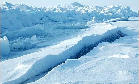 Continentul gheţarilor a fost, acum 52 de milioane de ani, acoperit cu păduri tropicale