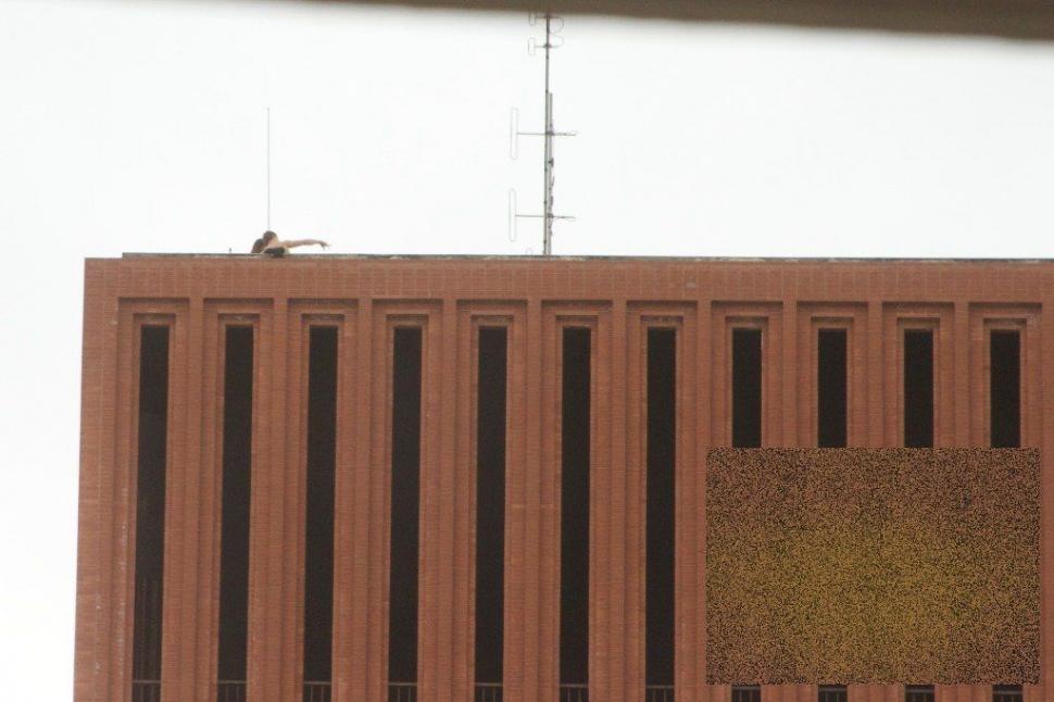 Şi uite aşa şi-au dat americanii cu firma în cap. Ce fac doi studenţi de la o prestigioasă universitate pe acoperişul clădirii 161090