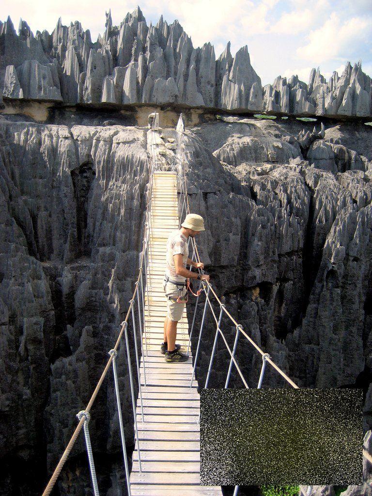 Nu ai cum să rămâi indiferent la această minune. &quot;Pădurea&quot; pe care nu te-ai fi gândit să o vezi în realitate 161881