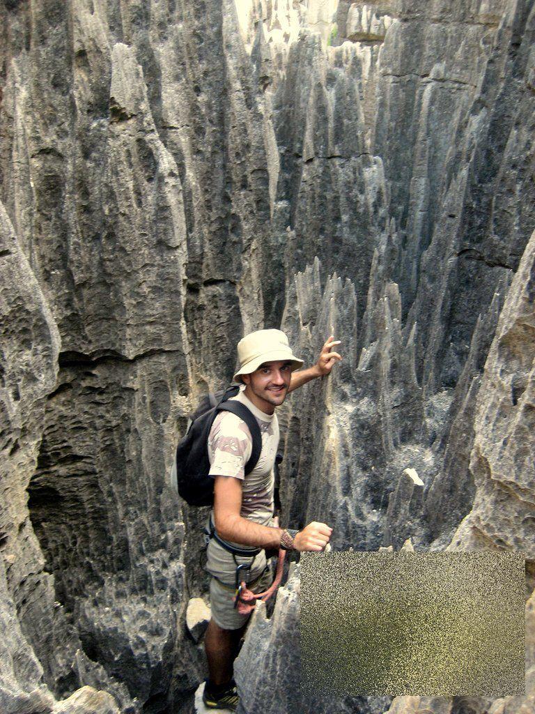 Nu ai cum să rămâi indiferent la această minune. &quot;Pădurea&quot; pe care nu te-ai fi gândit să o vezi în realitate 161885