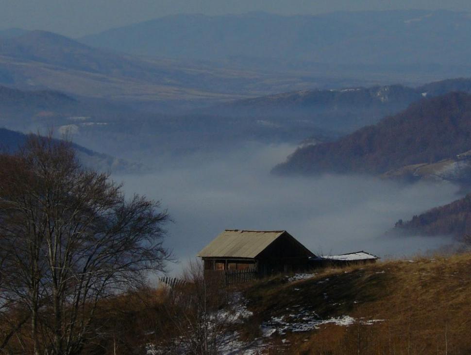 Un român fericit. Omul care a ales calea mai puţin bătătorită. El este ciobanul care a urmat trei facultăţi 161854
