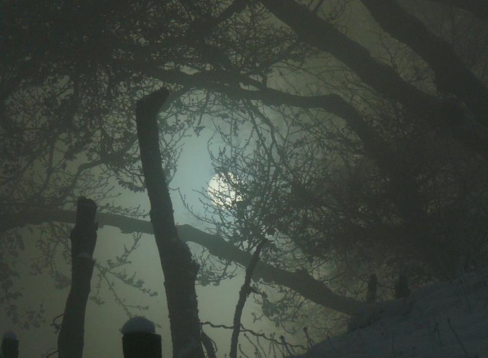 Un român fericit. Omul care a ales calea mai puţin bătătorită. El este ciobanul care a urmat trei facultăţi 161855