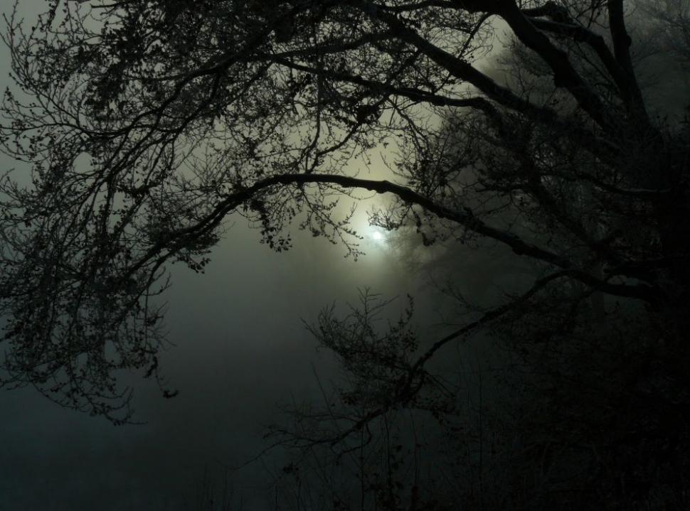 Un român fericit. Omul care a ales calea mai puţin bătătorită. El este ciobanul care a urmat trei facultăţi 161856