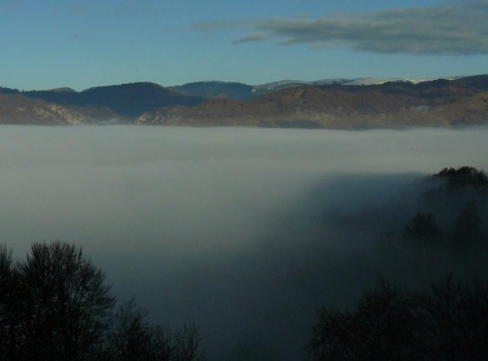 Un român fericit. Omul care a ales calea mai puţin bătătorită. El este ciobanul care a urmat trei facultăţi 161857