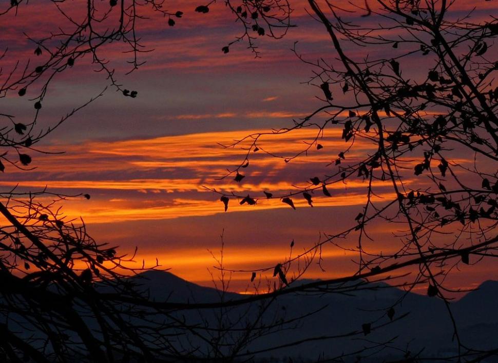Un român fericit. Omul care a ales calea mai puţin bătătorită. El este ciobanul care a urmat trei facultăţi 161860