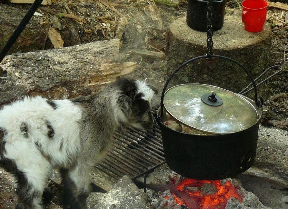 Un român fericit. Omul care a ales calea mai puţin bătătorită. El este ciobanul care a urmat trei facultăţi 161865