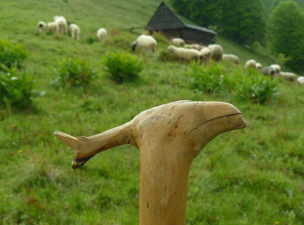 Un român fericit. Omul care a ales calea mai puţin bătătorită. El este ciobanul care a urmat trei facultăţi 161868