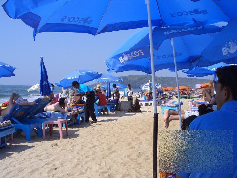 Apariţia de pe plajă care i-a făcut pe turişti să se închine. &quot;Ce vacă! Ne-am dus toţi să punem mâna pe ea!&quot; 162484