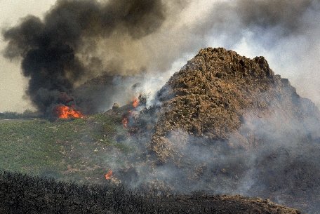 Insulele Canare. Mii de hectare de vegetaţie distruse, în urma unui incendiu de proporţii