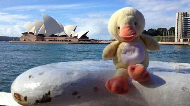 „Sunt Daniel şi vreau să ajut”. Gestul impresionant al unui tânăr din Canada 163156