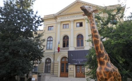 Unde a dispărut girafa din faţa Muzeului Antipa
