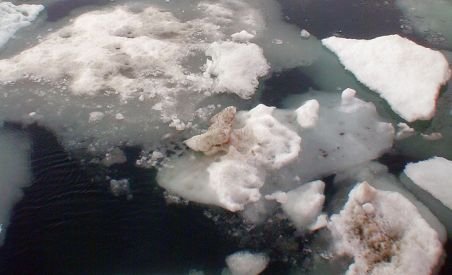 Gheaţa de la Polul Nord se topeşte în timp record. Vom atinge cel mai scăzut nivel din istorie