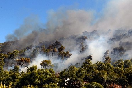 Atena. Incendiu de vegetaţie în apropierea unei baze militare