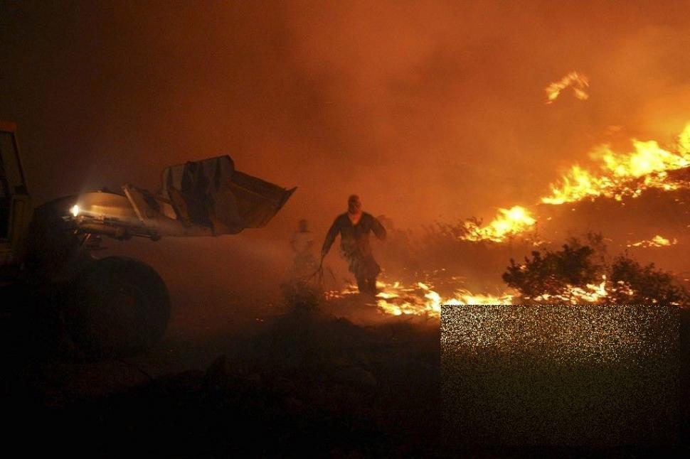 Ce se petrece în faţa acestor turiste este şocant. Iar reacţia lor a stârnit revolta a sute de mii de oameni 165134