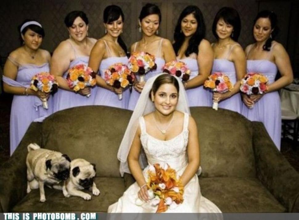 Când vei vedea întreaga imagine te vei îngrozi. Legătura între început şi sfârşit 165398