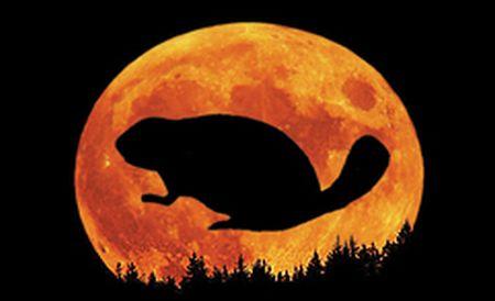 Fenomenele interesante care te fac să nu-ţi mai dezlipeşti privirea de pe cer 165371