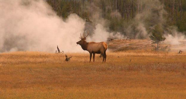 Minunea geologică care ar putea şterge SUA de pe hartă. „Distrugerile ar fi totale”  165593