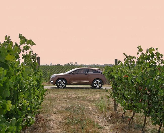 Imaginile care pot îngropa Dacia. Cum vor ruşii să spargă piaţa şi să le dea o lecţie românilor 165911