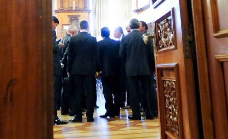 PDL a mai pierdut doi deputaţi. Balcan şi Pirpiliu şi-au anunţat demisiile în plenul Camerei Deputaţilor