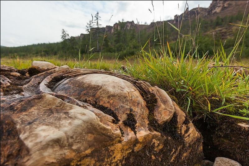 Martorii tăcuţi la geneza lumii. Descoperirea epocală făcută de arheologi spune o poveste uimitoare 166112
