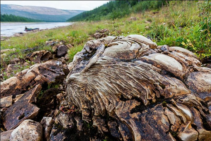 Martorii tăcuţi la geneza lumii. Descoperirea epocală făcută de arheologi spune o poveste uimitoare 166115