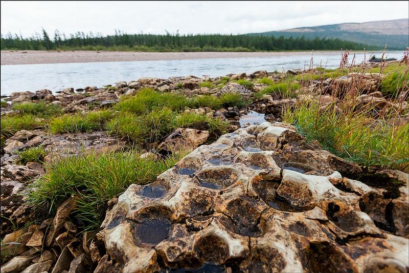 Martorii tăcuţi la geneza lumii. Descoperirea epocală făcută de arheologi spune o poveste uimitoare 166116