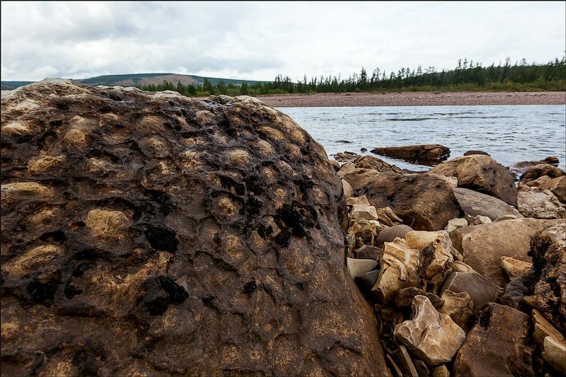 Martorii tăcuţi la geneza lumii. Descoperirea epocală făcută de arheologi spune o poveste uimitoare 166117