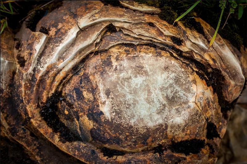 Martorii tăcuţi la geneza lumii. Descoperirea epocală făcută de arheologi spune o poveste uimitoare 166118