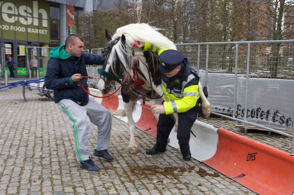 Cel mai PENIBIL moment pentru un poliţist. De-atâtea ori a călărit el calul, acum animalul a-ntors roata 166531
