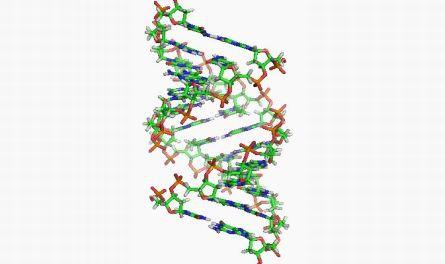 Genetica personală. Locul în care realitatea întâlneşte filmele SF 166548